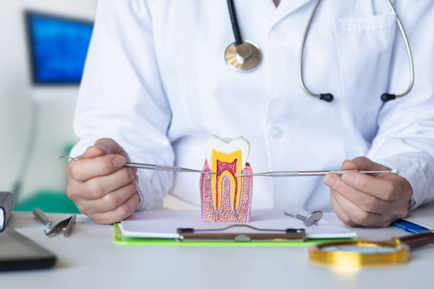 Best Mobile Emergency Dentist in Hasbrouck Heights, NJ